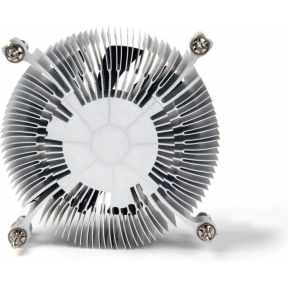 Polar 2 - afbeelding 2