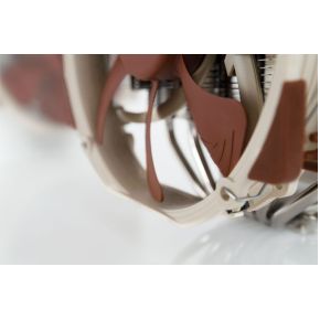 NH-D15 CPU-koeler - afbeelding 6