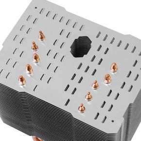 Macho Direct - afbeelding 5