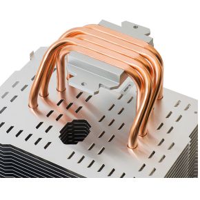 Macho Direct - afbeelding 6