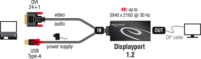 Delock 62596 adapter dvi male 1 2 3 orig - DeLock 62596 DVI-D→DisplayPort 0,3 m Verloopstuk