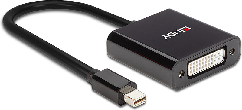 Lindy 41736 tussenstuk voor kabels m 3 orig - Lindy 41736 Mini DisplayPort→DVI-D 0,16 m DisplayPort-kabel