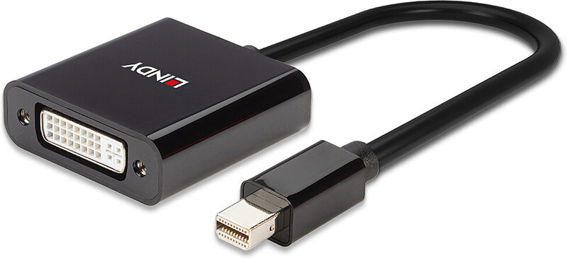 Lindy 41736 tussenstuk voor kabels m 5 orig - Lindy 41736 Mini DisplayPort→DVI-D 0,16 m DisplayPort-kabel