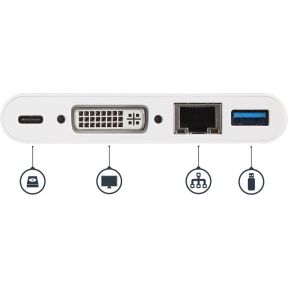 Startech com usb c multiport adapter vo 4 orig - StarTech.com DKT30CDVPD USB-C Dockingstation (wit)
