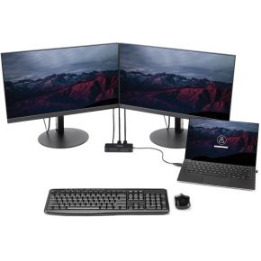 Startech com usba2dpgb usb 3 0 3 3 orig - StarTech.com USBA2DPGB USB-A Dockingstation (zwart)