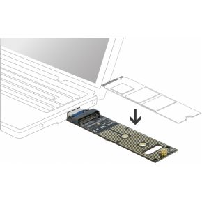 Delock 64069 converter voor m 2 nvme 2 orig - DeLock 64069 M.2-adapterkaart
