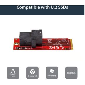 Startech com m2e4sff8643 u 2 interfacek 8 orig - StarTech.com M2E4SFF8643 M.2-adapterkaart