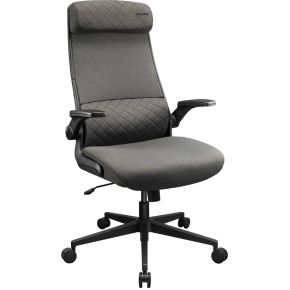 Cougar stryder bureaustoel grijs 3 orig - COUGAR CGR-STD-GRB tot 120 kg Gamingstoel (stof, grijs)