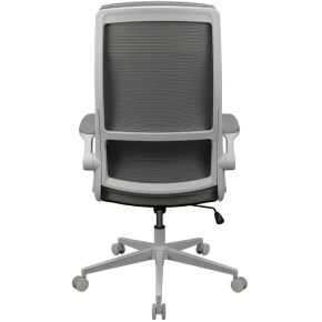 Cougar stryder bureaustoel lichtgrijs 7 orig - COUGAR CGR-STD-ASW tot 120 kg Gamingstoel (stof, wit)