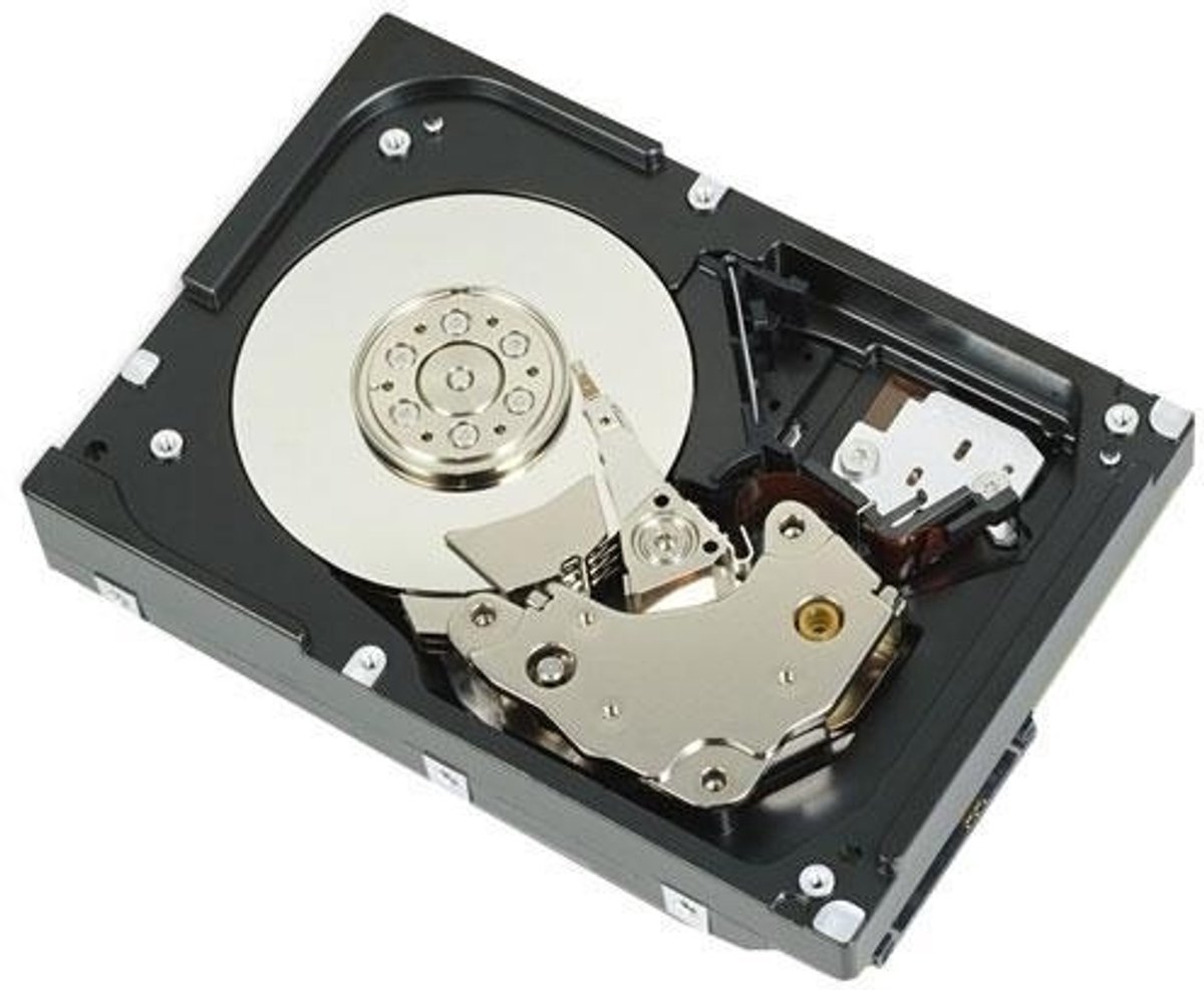 DELL Dell 529Fg Interne Harde Schijf 4 Tb 7200 Rpm 3.5" Sas