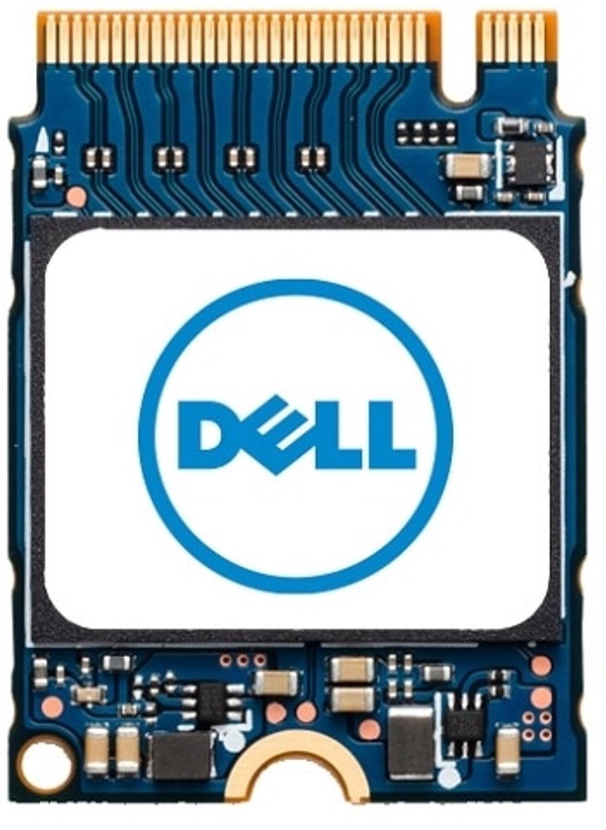 Dell Dell M.2 256 Gb Pci Express (Snp112233P/256G)