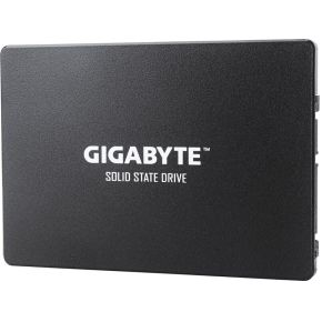 Gigabyte GP-GSTFS31100TNTD opslag - afbeelding 2