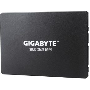 Gigabyte GP-GSTFS31256GTND opslag - afbeelding 2