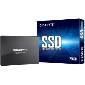 Gigabyte GP-GSTFS31256GTND opslag - afbeelding 4