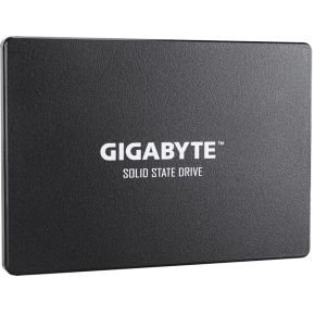 Gigabyte GP-GSTFS31256GTND