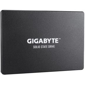 Gigabyte GP-GSTFS31480GNTD