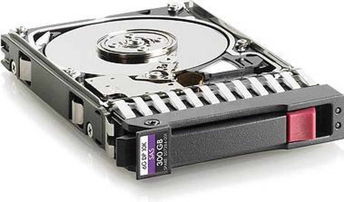 Hewlett Hewlett Packard Enterprise Interne Harde Schijven Hp 300Gb 6G Sas 10K Rpm 2.5-Inch Dual Port Enterprise Hard Disk Drive