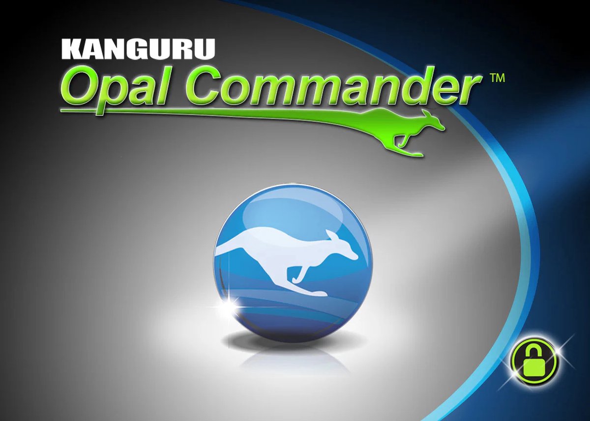 Kanguru – Defender Sed30 – 1 Tb – M.2 Nvme – Self-Encrypting Ssd – Secure opslag - afbeelding 2