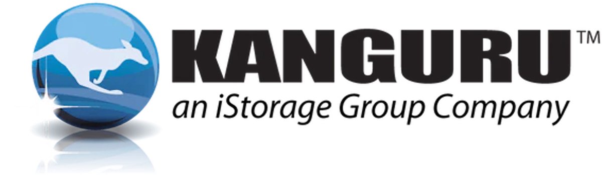 Kanguru – Defender Sed30 – 1 Tb – M.2 Nvme – Self-Encrypting Ssd – Secure opslag - afbeelding 5