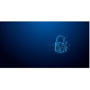 Kingston SEDC3000ME/15T3 opslag - afbeelding 6