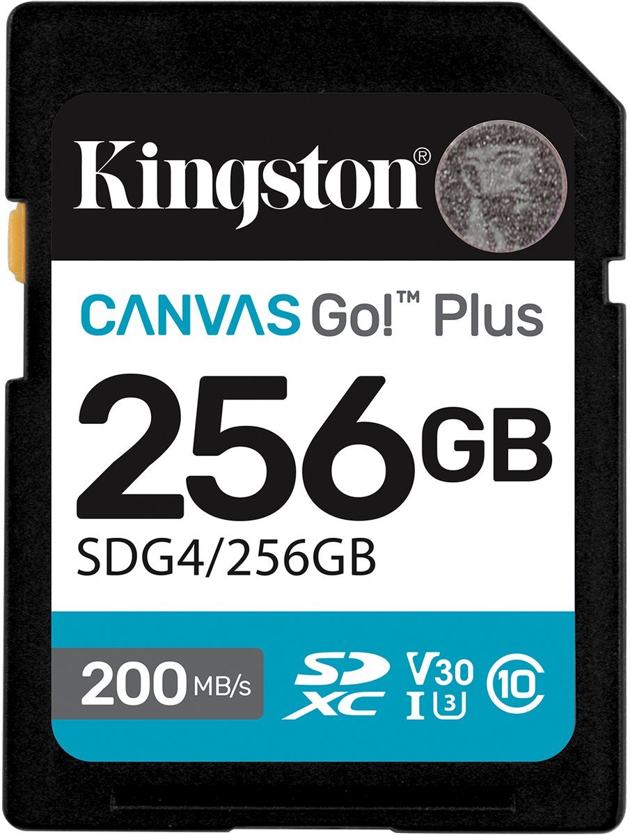 256GB Canvas Go! Plus SDXC Card UHS-I