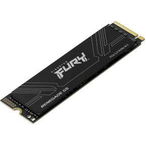 SSD FURY Renegade G5 8TB - afbeelding 2