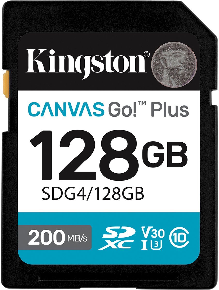 Canvas Go! Plus 128GB SDXC