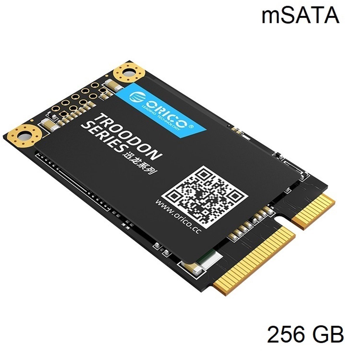 Orico Orico Msata Interne Ssd 256Gb - Troodon Serie - 3D Nand Flash - Zwart