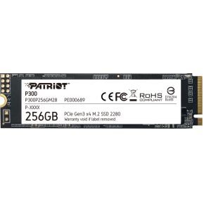 Memory P300 256GB M.2 SSD