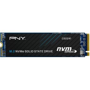 PNY M280CS2241-1TB-RB