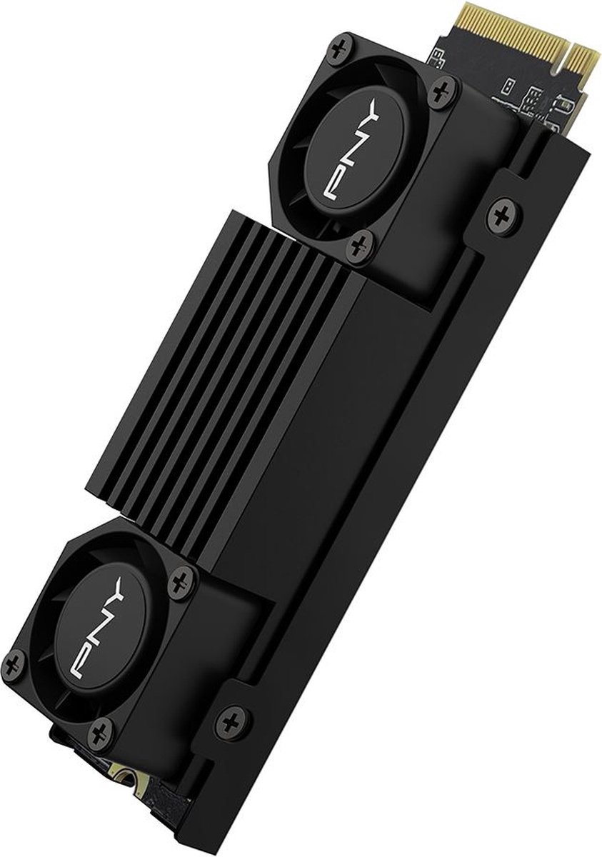 CS3150 1TB M.2 NVMe Gen5 x4 SSD met Heatsink - afbeelding 3