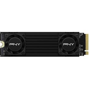PNY M280CS3150HS-2TB-RB