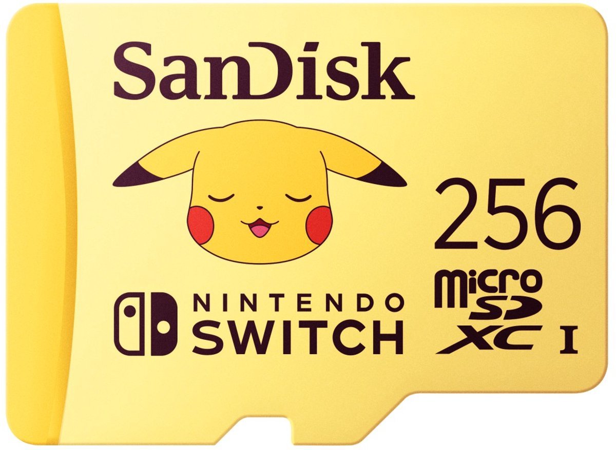 SanDisk Sandisk Sdsqxao-256G-Gn6Zk Flashgeheugen 256 Gb Microsdxc