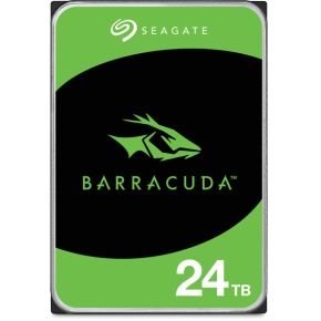 Seagate ST24000DM001