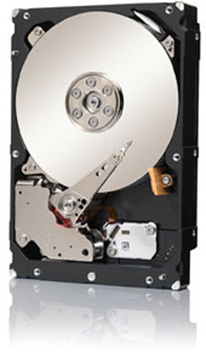Seagate Constellation Es.3e Harde Schijf - 1 Tb opslag - afbeelding 4