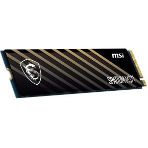 SPATIUM Spatium M371 Nvme M.2 500Gb