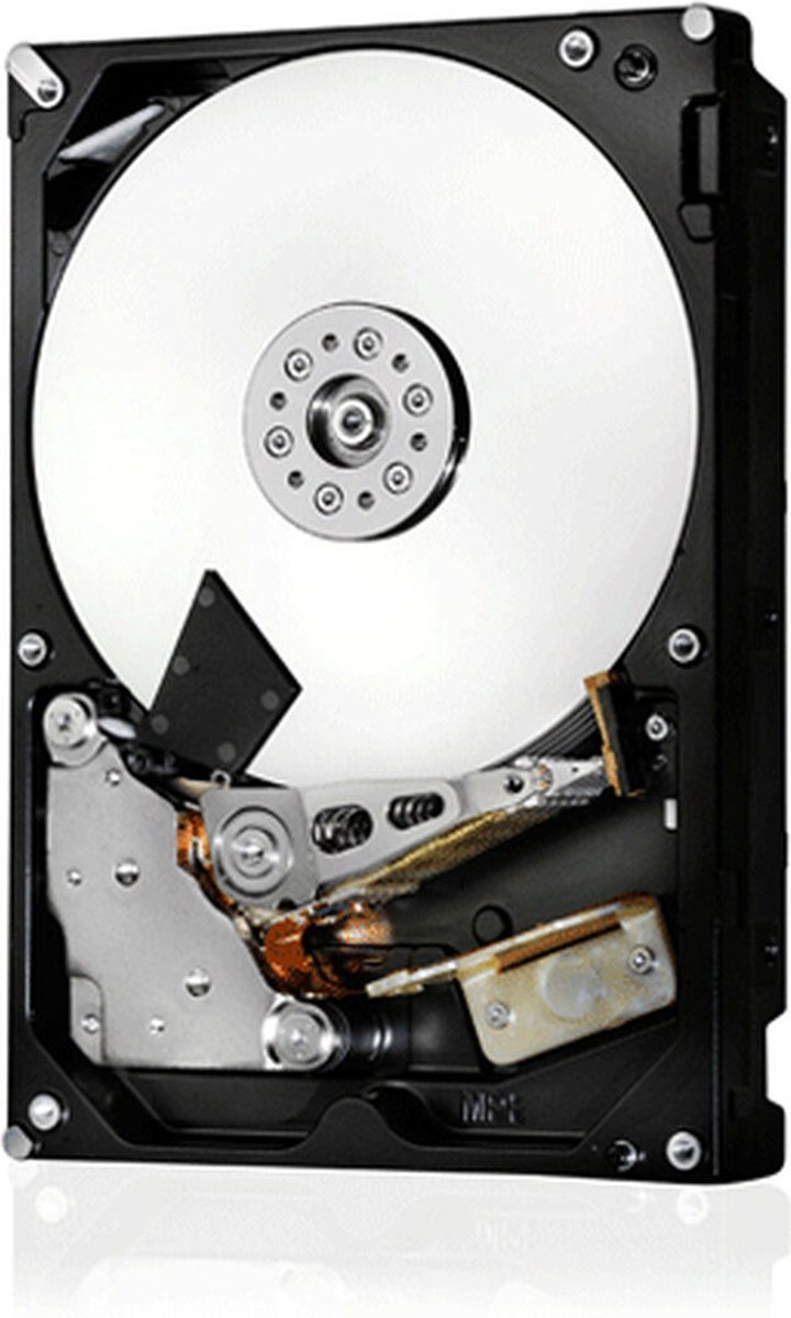 Western Digital Western Digital Ultrastar 4Tb Interne Harde Schijf 4,1 Tb 7200 Rpm 128 Mb 3.5" Sas