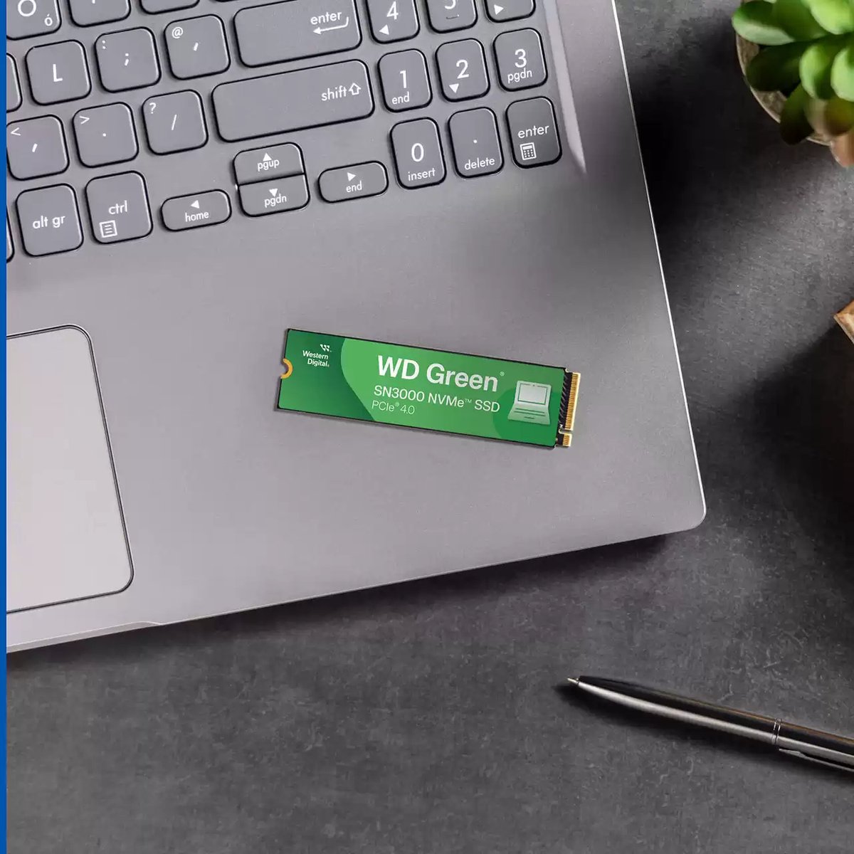 Western Digital Wd Green Sn3000 Nvme 500Gb Ssd opslag - afbeelding 3