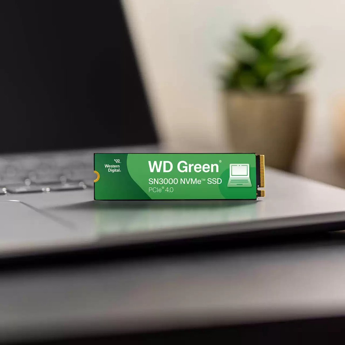 Western Digital Wd Green Sn3000 Nvme 500Gb Ssd opslag - afbeelding 4