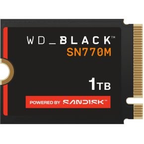 SanDisk WDS100T3X0G-00CHY0
