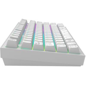 ALU81A Terra Nova WH Draadloos TKL Mechanisch Gaming Toetsenbord - afbeelding 4