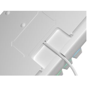 Thor 303 TKL White (Outemu Peach Silent) Toetsenbord - afbeelding 5