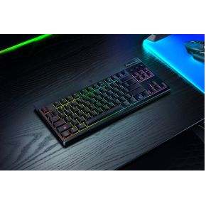 BlackWidow V4 Low-Profile Tenkeyless HyperSpeed Tactile Orange toetsenbord Toetsenbord - afbeelding 4