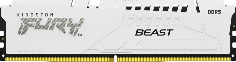 Fury beast 16 gb 1 x 16 - Kingston FURY Beast White 16GB DDR5 5200MT/s CL40 Desktop Geheugen