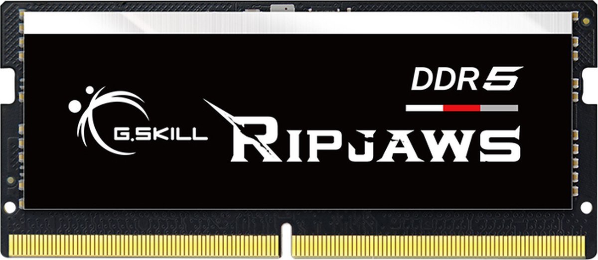 G.Skill G.Skill Ripjaws F5-4800S4039A32Gx1-Rs Geheugenmodule 32 Gb 1 X 32 Gb Ddr5