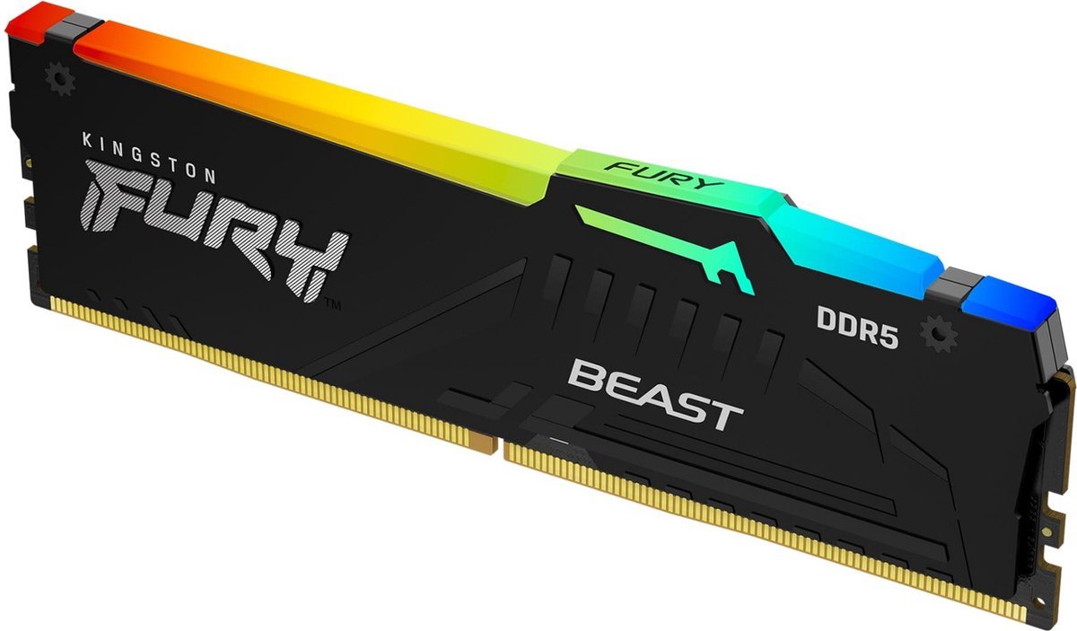 FURY Beast RGB 32GB DDR5-5600 Geheugen (Black)