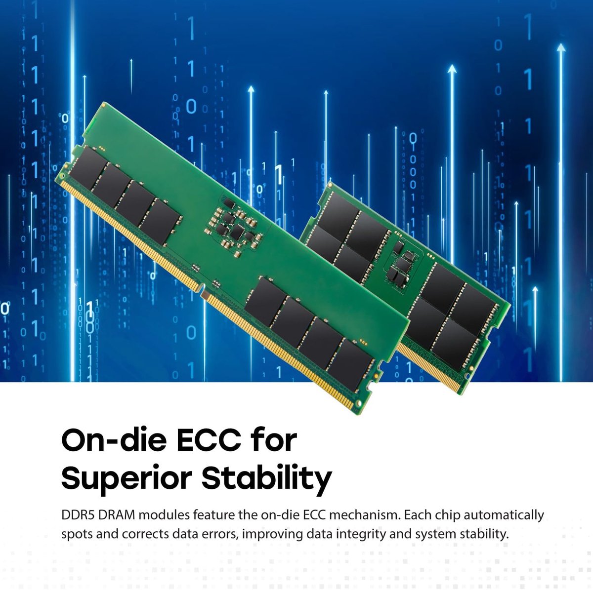 JetRam 16GB DDR5-5600 Geheugen - afbeelding 6