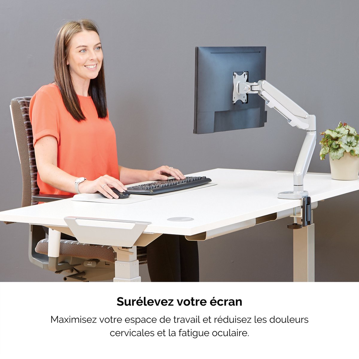 Fellowes enkele monitor arm eppa voor 1 3 orig - Fellowes Enkele tot 40" Bureausteun (zilver)