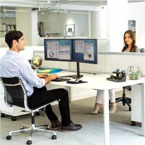 Fellowes professional series vrijstaand 4 orig - Fellowes 8043701 voor 2 schermen tot 27" Monitorstandaard (zwart)
