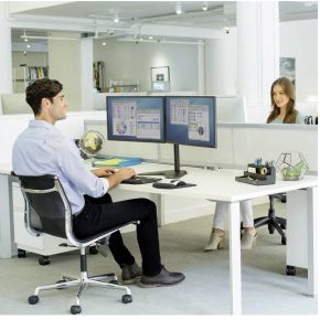 Fellowes professional series vrijstaand 8 orig - Fellowes 8043701 voor 2 schermen tot 27" Monitorstandaard (zwart)